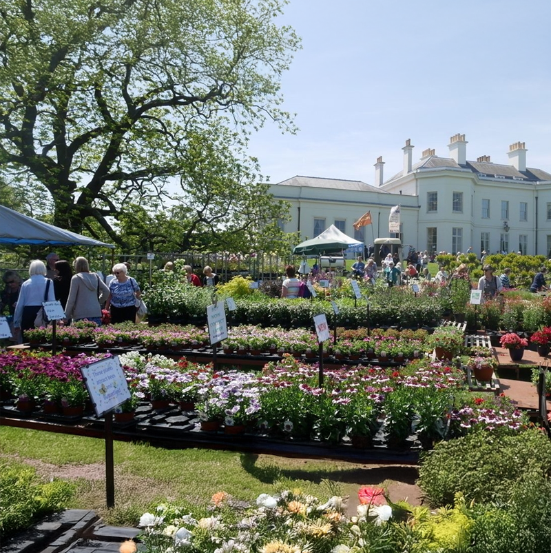 Garden show at a stately manor house with rows of potted flowers