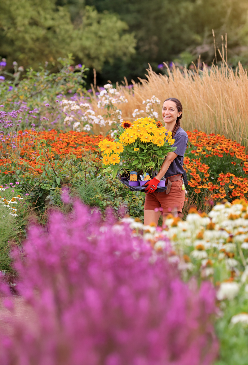 Woman holding yellow sunflowers at a colourful garden show